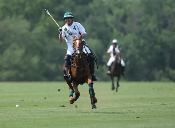 Brant reached the highest rating for an amateur polo player.